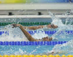 Miguel ngel Martnez en la final de 50 metros libre.