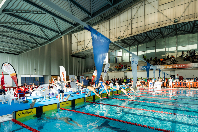 Nadadores lanzándose a la piscina en la edición de 2024